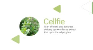 Cellfie For a Carefree Smile